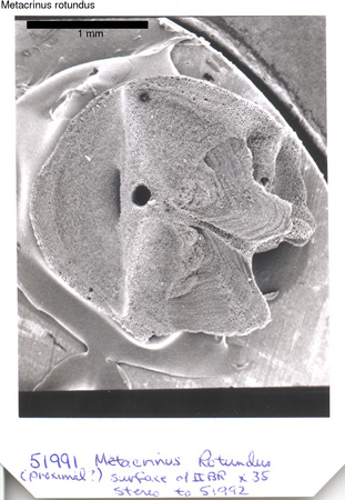 image 229