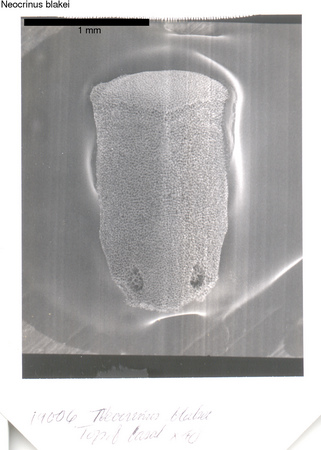 image 291