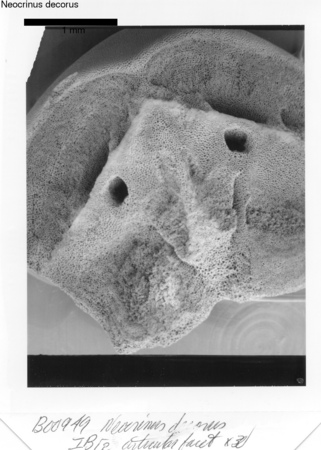 image 300