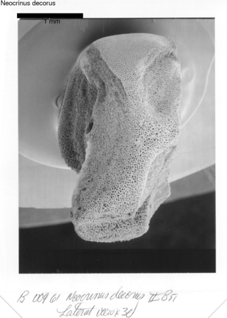 image 301