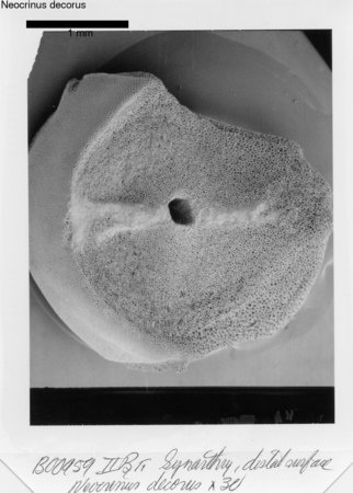 image 302