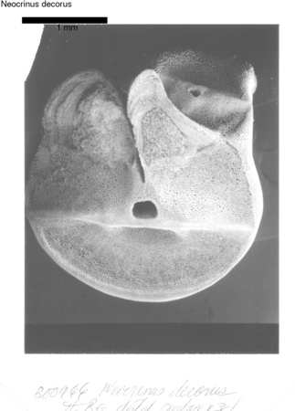 image 303