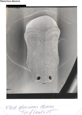 image 307