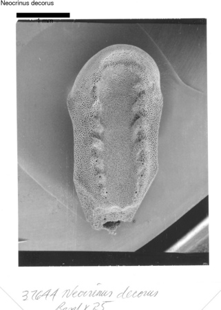 image 308