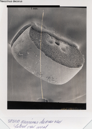 image 310