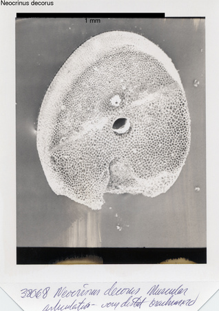 image 317