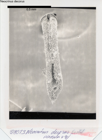 image 320