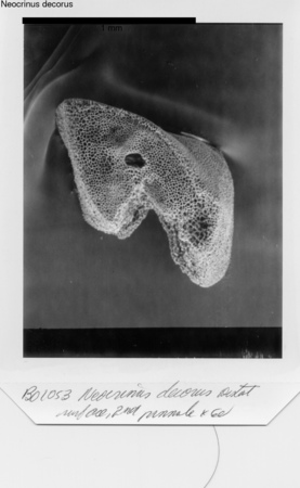 image 325