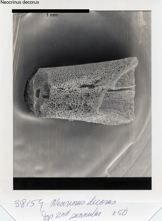 image 326