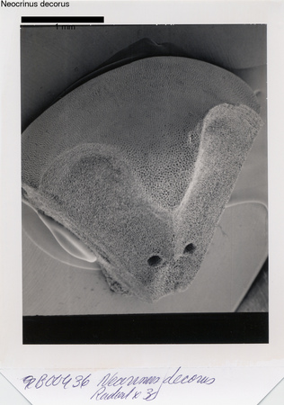 image 334