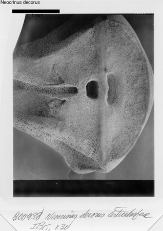 image 335