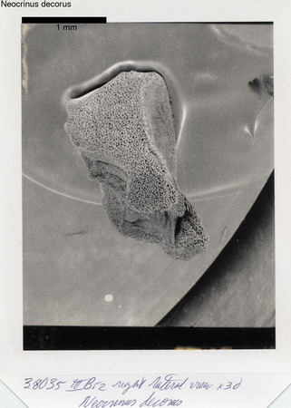 image 347