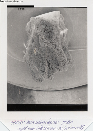 image 348