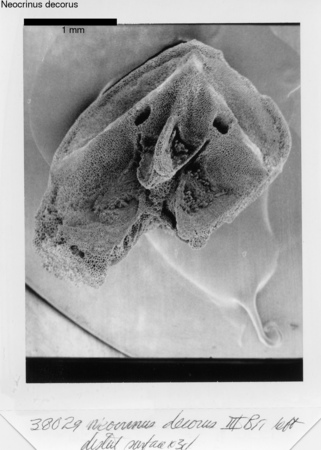 image 350