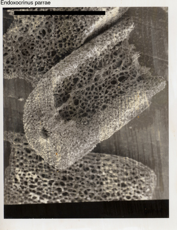 image 351