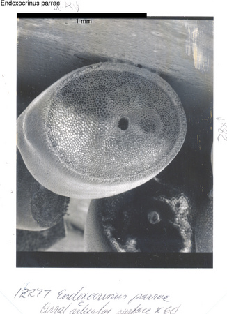 image 352