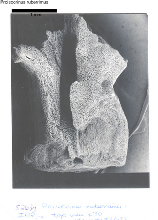 image 370