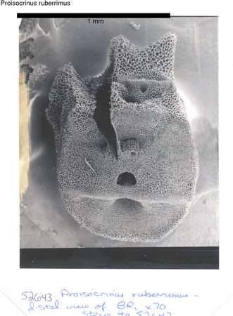 image 371