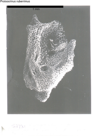 image 377