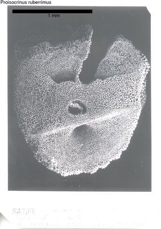 image 382