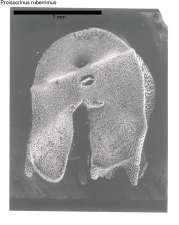 image 388