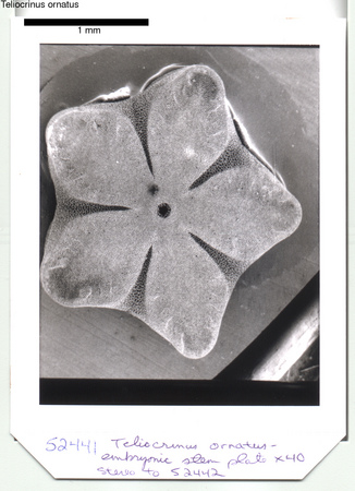image 403