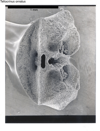 image 414