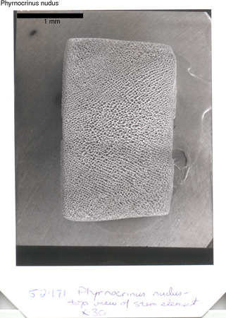 image 421