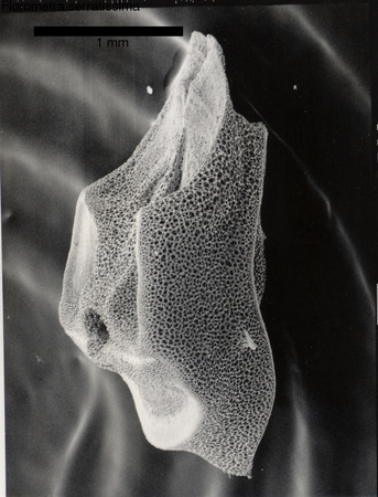 image 472