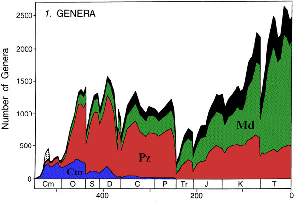 Sepkoski's curve